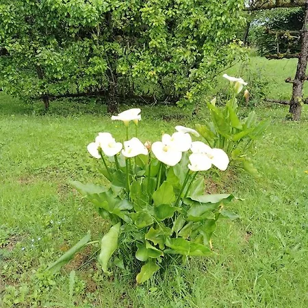 Escapade Belinoise 住宿加早餐酒店