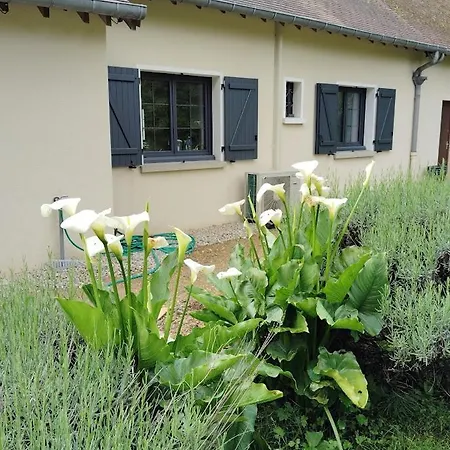 住宿加早餐酒店 Escapade Belinoise