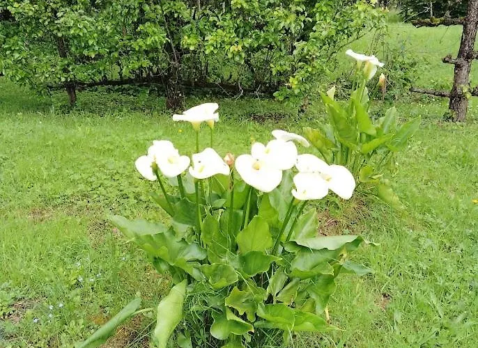 Escapade Belinoise فندق مبيت وإفطار