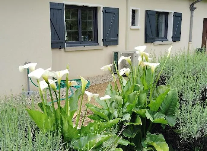 فندق مبيت وإفطار Escapade Belinoise